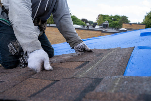 Best Storm Damage Roof Repair  in Hutto, TX